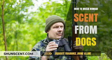 Effective Techniques to Conceal Human Odor from Canine Detection