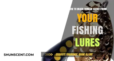 Effective Scent Masking Techniques for Odor-Free Fishing Lures