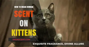 Effective Tips to Mask Human Scent on Kittens for Survival