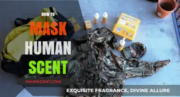 Effective Techniques to Conceal Human Scent for Stealth and Survival