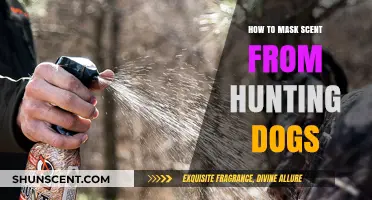 Effective Scent Masking Techniques to Outsmart Hunting Dogs