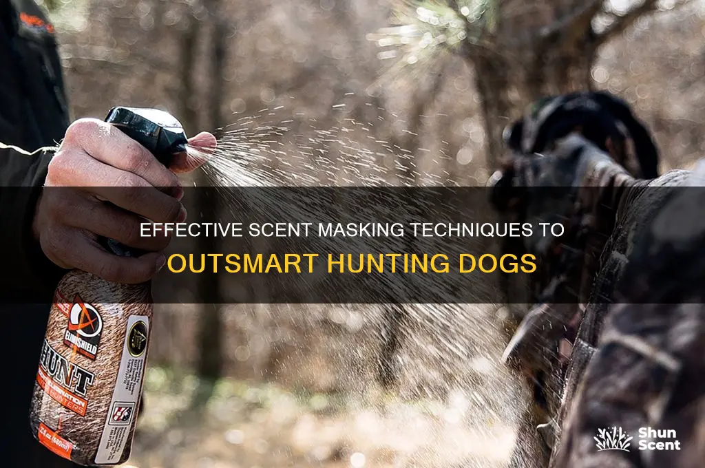 how to mask scent from hunting dogs