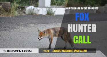 Effective Scent Masking Techniques for Red Fox Hunting Calls