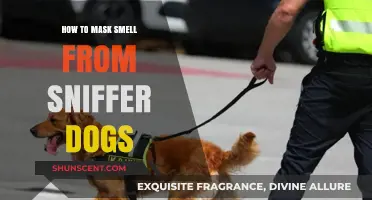 Fooling Fido: Effective Ways to Mask Scents from Sniffer Dogs