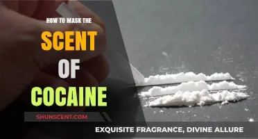 Effective Methods to Conceal the Odor of Cocaine for Discreet Handling