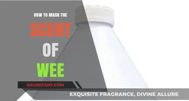 Effective Tips to Neutralize and Mask Unwanted Urine Odors Fast