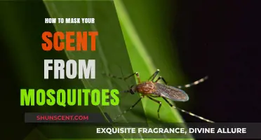Effective Ways to Mask Your Scent and Repel Mosquitoes Naturally