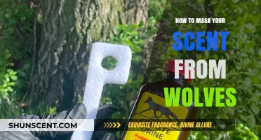 Effective Strategies to Conceal Your Scent and Stay Safe from Wolves