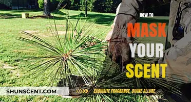 Effective Scent Masking Techniques for Stealth and Outdoor Survival