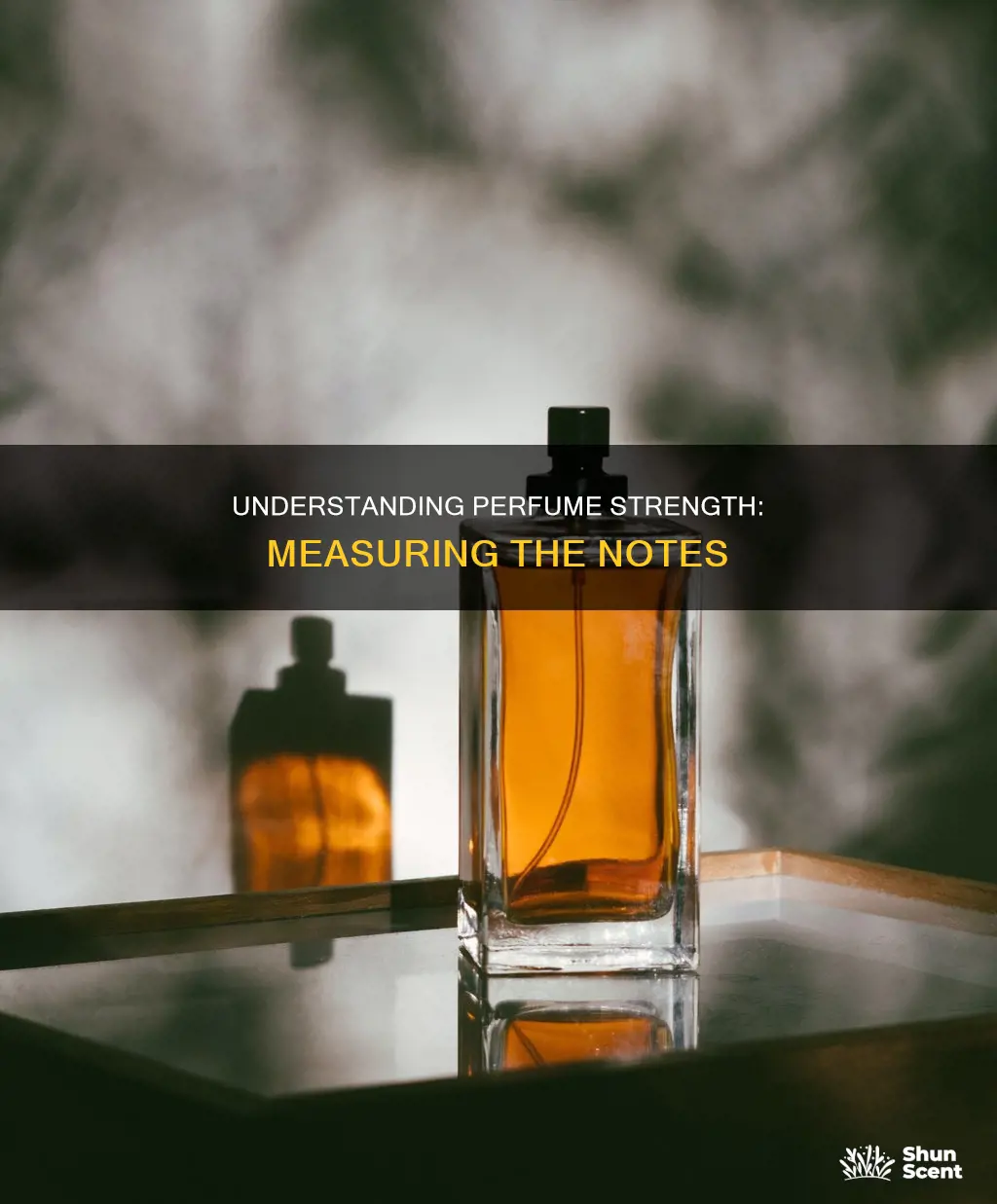 how to measure perfume strength