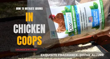 Eliminating Chicken Coop Odor: Strategies for Fresh Air