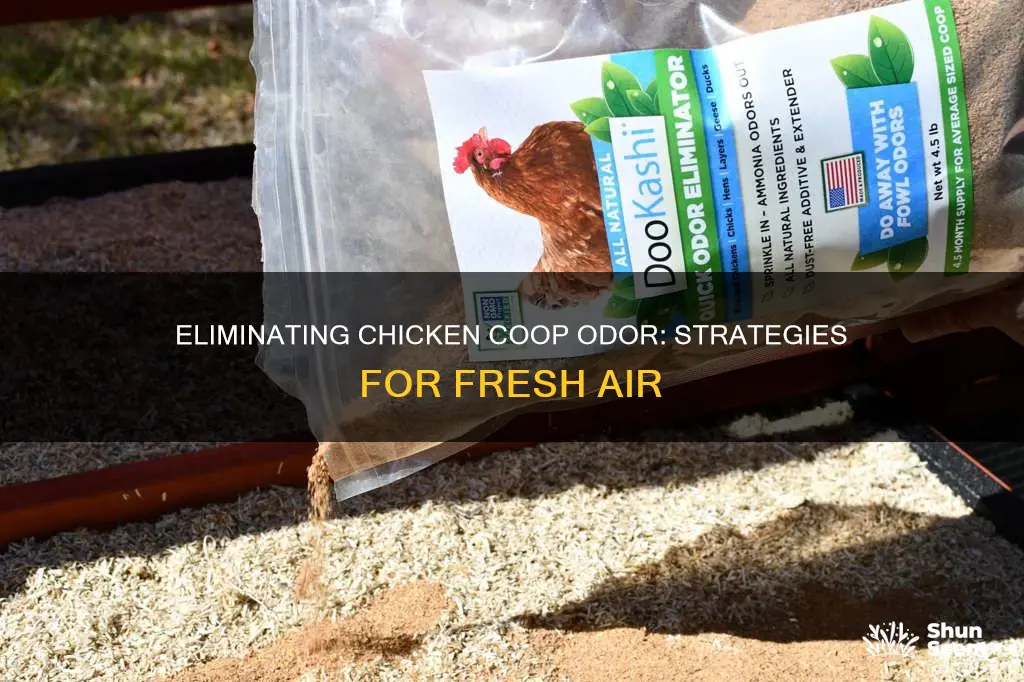 how to mitigate aroma in chicken coops