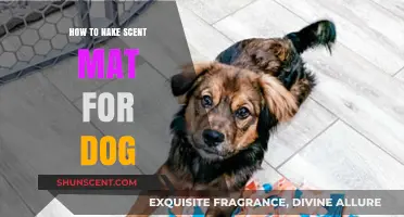 DIY Scent Mat for Dogs: Easy Steps to Engage Your Pup's Sniffer
