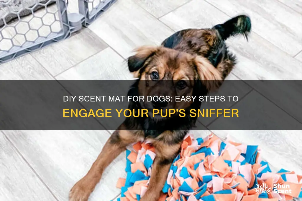 how to nake scent mat for dog