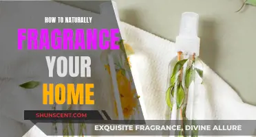 Natural Home Fragrance: DIY Essential Oil Blends for a Fresh, Healthy Home