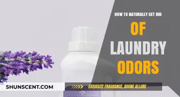 Freshen Up Your Laundry: Natural Odor Elimination Tips
