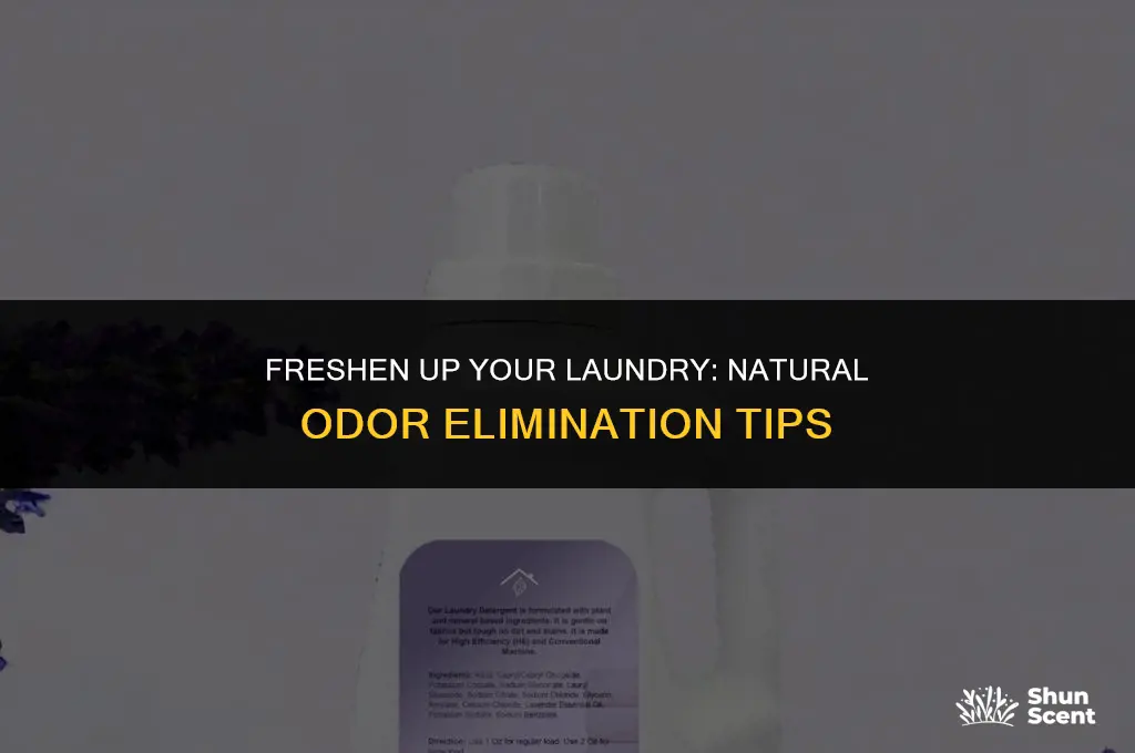how to naturally get rid of laundry odors