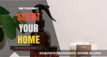 Freshen Your Space: Natural Home Scents for a Cozy Atmosphere