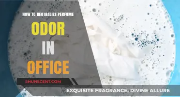 Neutralizing Strong Scents: A Guide to Odor-Free Offices