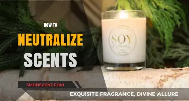 Effective Ways to Neutralize Unwanted Scents in Your Home and Beyond