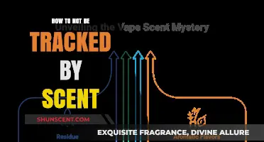 Evasive Aromas: Master the Art of Scent Stealth and Privacy