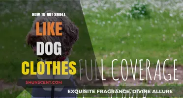 Fresh and Clean: Tips to Keep Your Dog Clothes Odor-Free