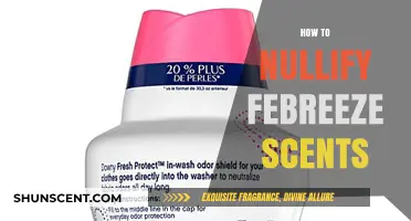 Effective Ways to Neutralize Febreze Scents in Your Home