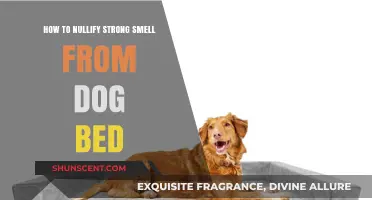 Freshen Up Your Pup's Resting Spot: A Guide to Odor-Free Dog Beds
