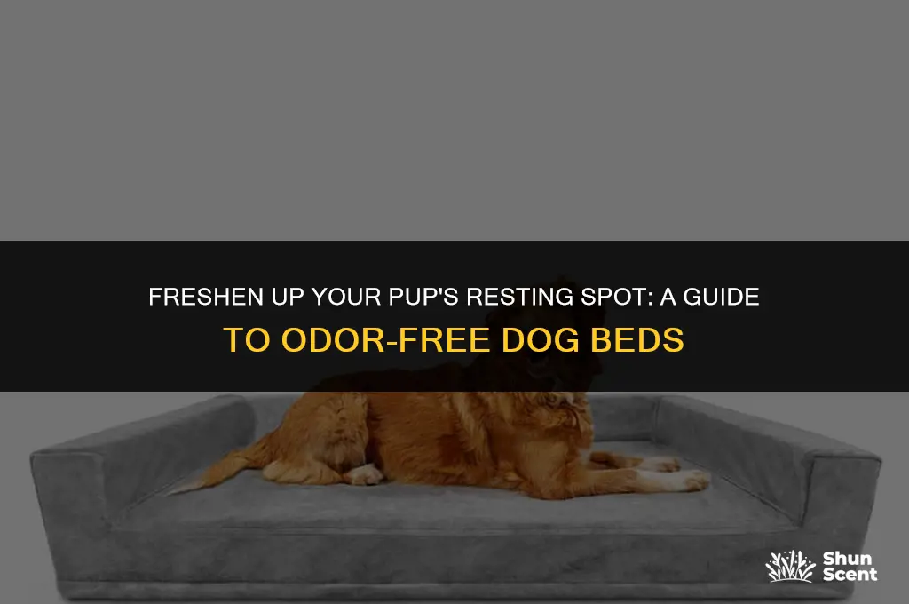 how to nullify strong smell from dog bed