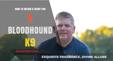 Training Bloodhounds: Effective Techniques to Obtain and Preserve Scent Evidence