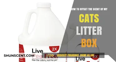 Effective Tips to Neutralize Your Cat's Litter Box Odor Easily