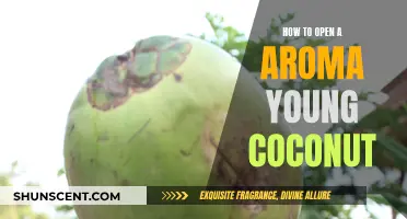 Unlocking the Secrets of the Aroma Young Coconut