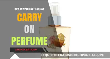 Unlocking Scents: Opening Body Fantasy Carry-On Perfume