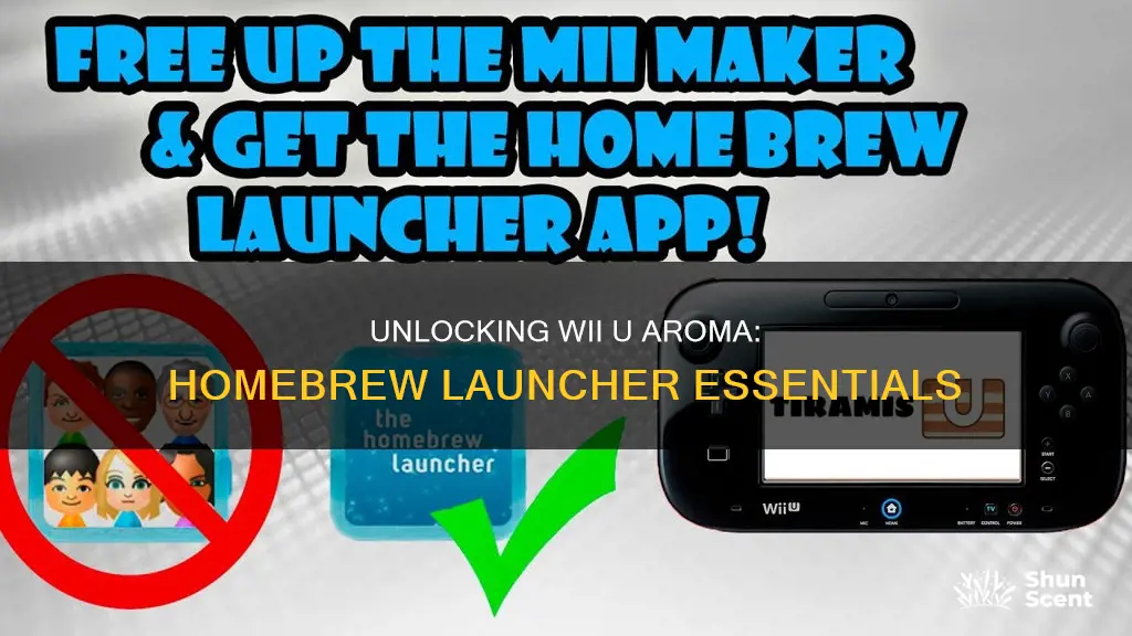 how to open homebrew launcher wii you aroma