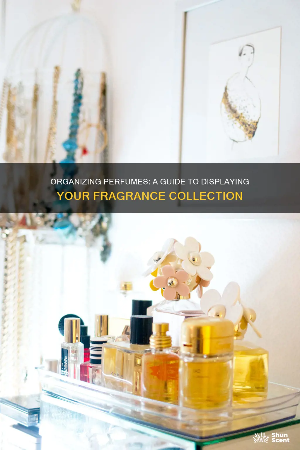 how to organise perfumes