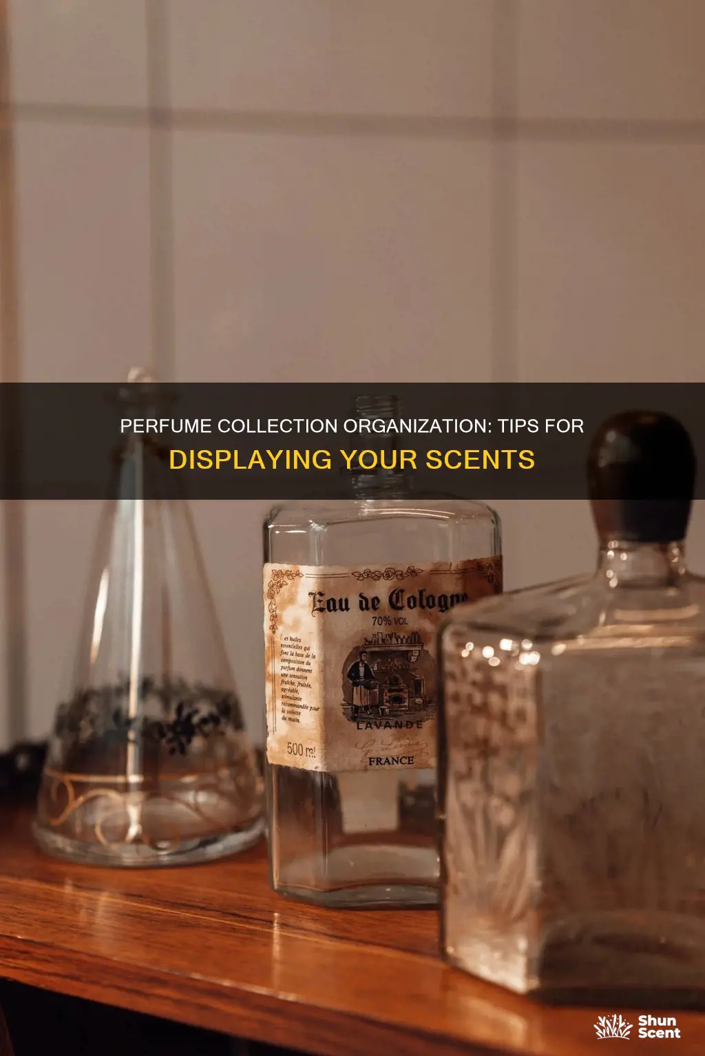how to organize perfume collection