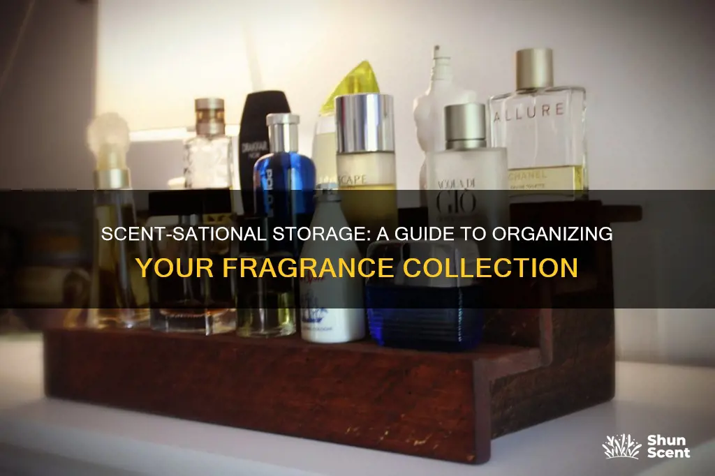 how to organize your fragrance perfume collection