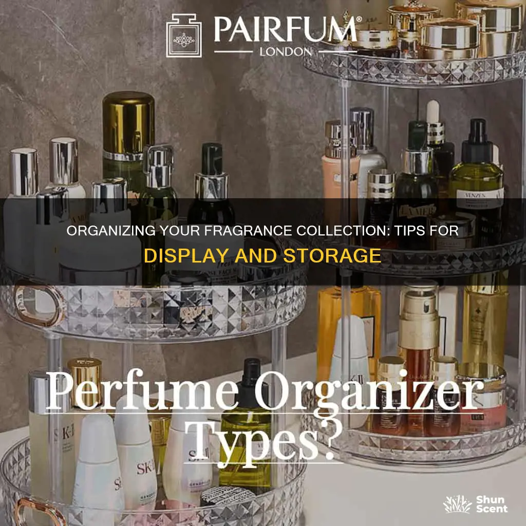 how to organize your fragrance perfume collection