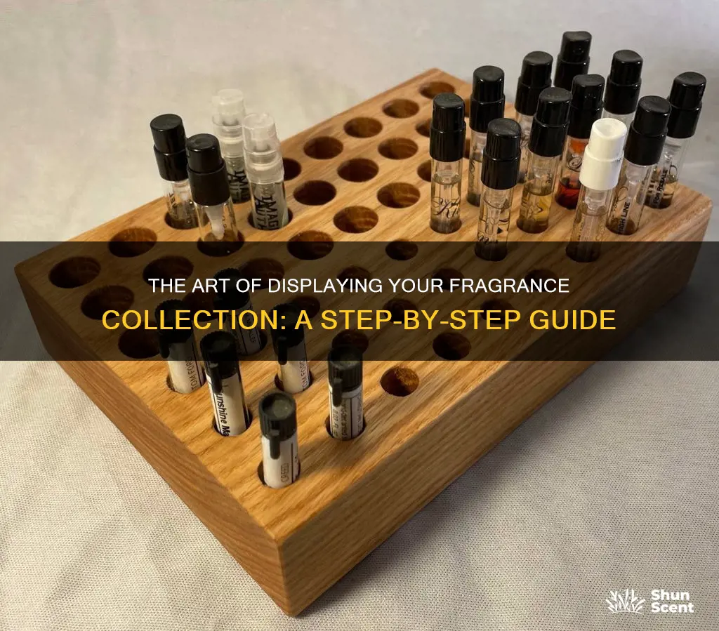 how to organize your fragrance samples