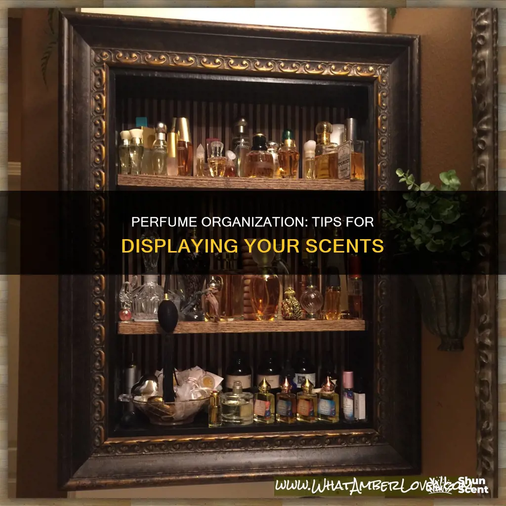 how to organize your perfumes