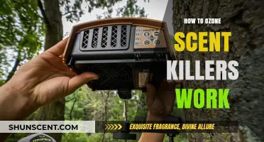 Understanding Ozone Scent Killers: How They Eliminate Odors for Hunters