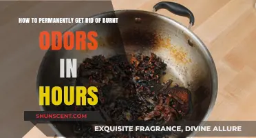 Banish Burnt Odors Fast: A Simple Guide to Freshness