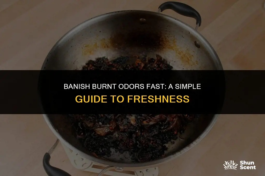 how to permanently get rid of burnt odors in hours