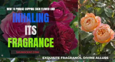 Unveiling the Art of Cupping: Capturing Fragrance in Every Bloom