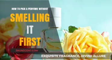 Choosing a Perfume Without Testing: A Guide to Blind Buying