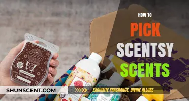 Choosing Perfect Scentsy Scents: A Guide to Enhance Your Space