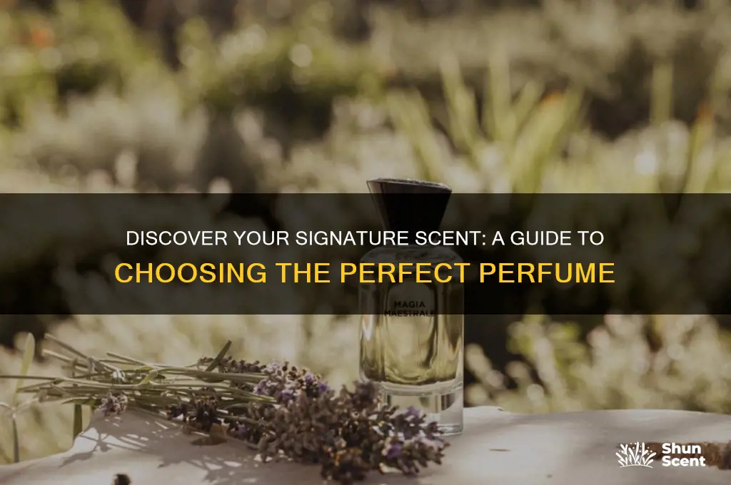 how to pick your favorite perfume scent