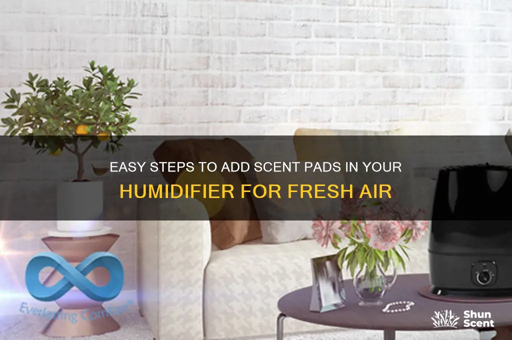how to place scent pad inside humidifier