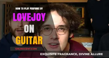 Learn to Play 'Perfume' by Lovejoy on Guitar