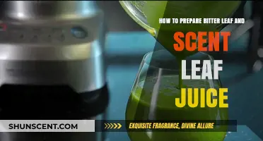 Refreshing Bitter Leaf and Scent Leaf Juice Recipe: Easy Preparation Guide